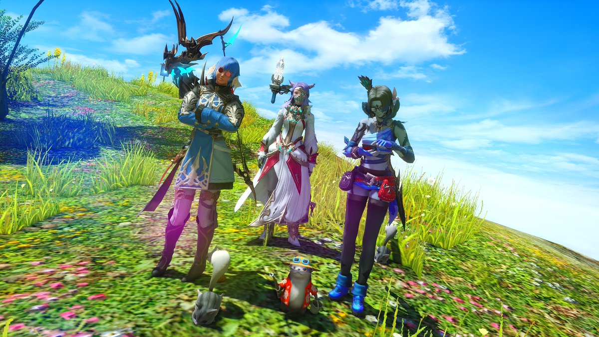 Dorkshadow's tweet photo. Gang Gang https://t.co/RenQfZao5k