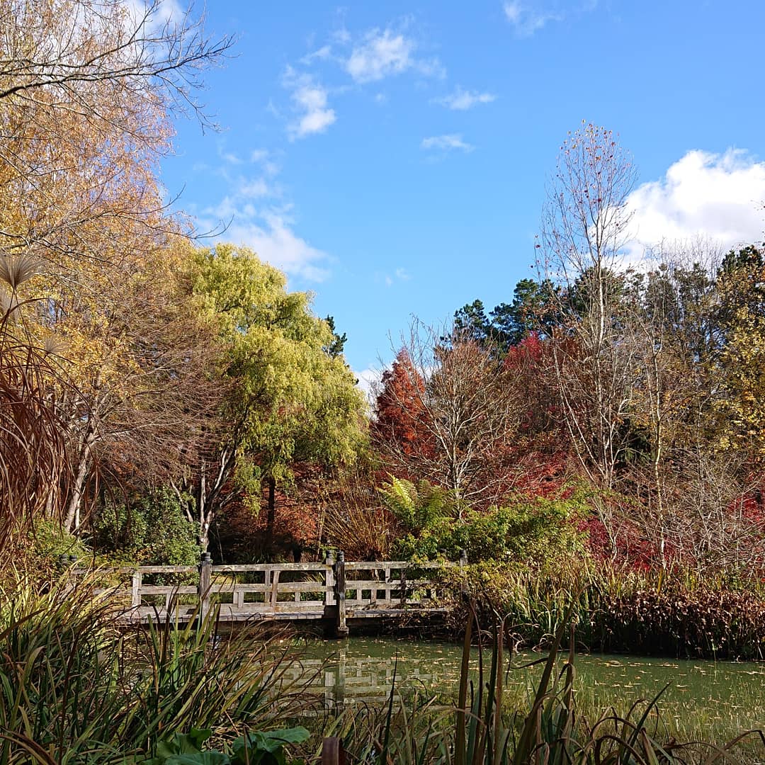 trishakmac's tweet photo. Southern Highlands autumn magic at it's best out at Red Cow Farm this afternoon. Lovely meander through the gardens only 20 mins from home. @destinationnsw #redcowfarm #SuttonForest #SouthernHighlands #autumn https://t.co/0nTWyVQjtr