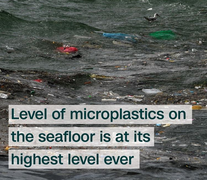 SatvikMishra25's tweet photo. The level of microplastics on the sea floor is at its highest level, upto 9million pieces covering just 1 square metre, according to a study. The garbage patches of bottles, bags and straws often seen floating on the surface of Ocean water.
#SaveOcean
#Say_No_To_Plastic https://t.co/Ualv6cnPbS