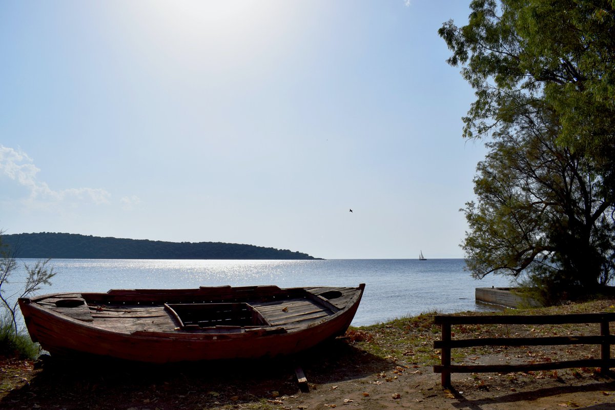 pelionhotels's tweet photo. Summer in Pelion is mesmerizing... 
Explore Pelion through Chrissi Nefeli  ▶ https://t.co/1QeN8k07jt
#pelion #summer https://t.co/C6u8QjEbf7