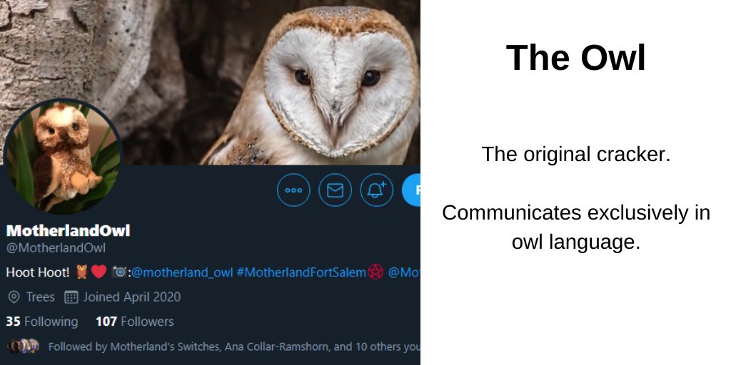 FortSalemVoice's tweet photo. This is going to be a wild ride, my dear #Switches 
Pick your fighter to dive into the #MotherlandFortSalem crack. 

🦉@MotherlandOwl 
💀@misterbirdskull 
🌺@MotherlandFlowr 
🎈 @SpreeRedheads 
#RenewMFS #MFSforRenewal 

xoxo
Salem Voice https://t.co/p0BbRZeZHn