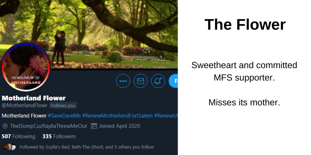 FortSalemVoice's tweet photo. This is going to be a wild ride, my dear #Switches 
Pick your fighter to dive into the #MotherlandFortSalem crack. 

🦉@MotherlandOwl 
💀@misterbirdskull 
🌺@MotherlandFlowr 
🎈 @SpreeRedheads 
#RenewMFS #MFSforRenewal 

xoxo
Salem Voice https://t.co/p0BbRZeZHn