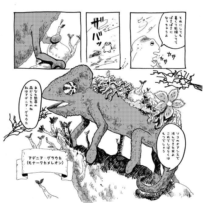 https://t.co/HnxZVzzju2

かえるのもりもーり3
動物と植物のこんな漫画も描いていました
お時間があったらぜひ〜

#エアコミティア 