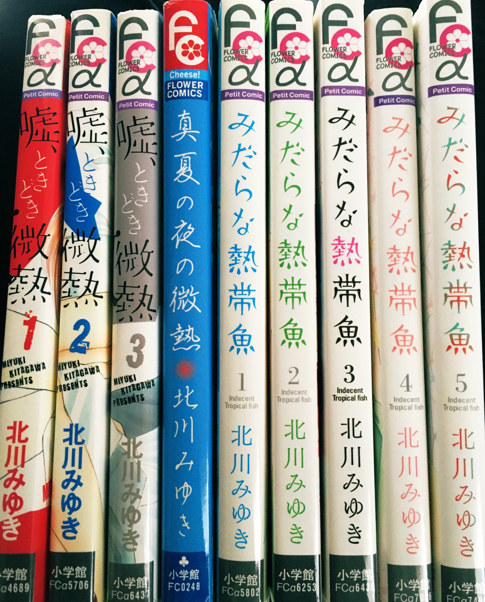 みだらな熱帯魚 Twitter Search Twitter
