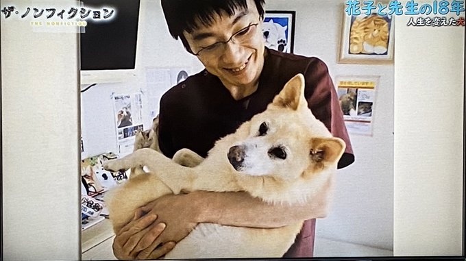 犬部映画モデル獣医の太田快作プロフィールwiki 出身高校や大学も紹介 アルタブログ