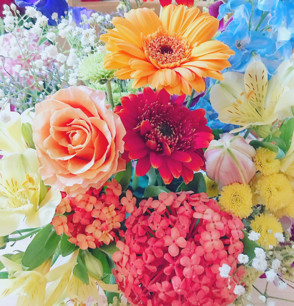 17unjour1999 明るい日差しに明るい花たち 元気カラー こんな明るい世の中に早くなってほしいな 今日は午後からアトリエにお花を取りに来られる方達へ 花の準備中 花のある暮らし 元気が出る コロナに負けるな 明るい花 Unjour1999