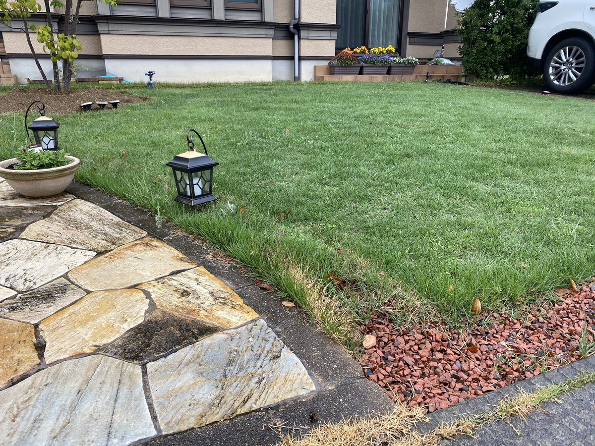 Majestic Peaks 雑草取り 芝刈り 芝の根っこストッパー配置作業したかったが 雨でストップ ハーブの種まき と横庭のマリーゴールドもそろそろなんとかせにゃ Am4 30頃晴れてたのになぁ 起きたらam10 00だった 芝生 庭