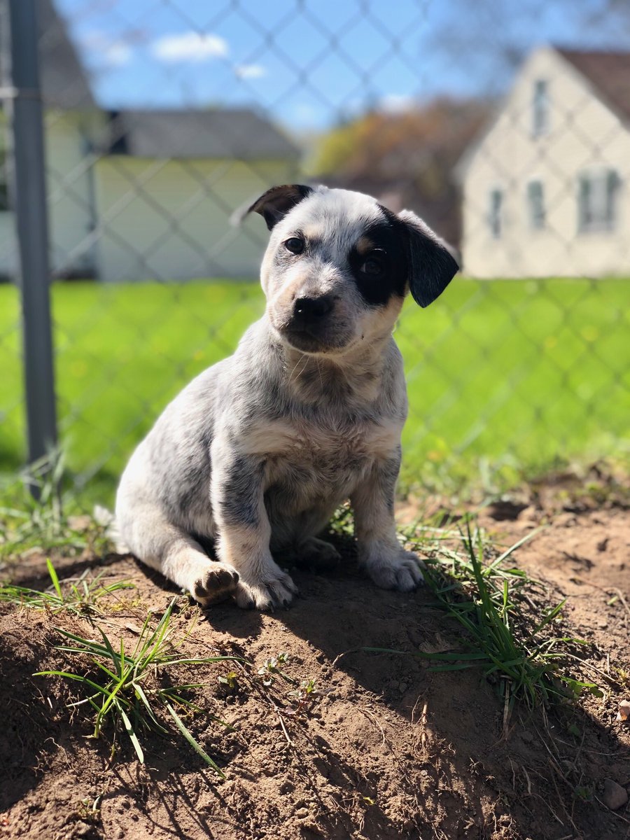 BestInterest_JC's tweet photo. There were plenty of things to do today.

But what’s better than time in the sun with loved ones and dogs? https://t.co/EbIdstwcb5