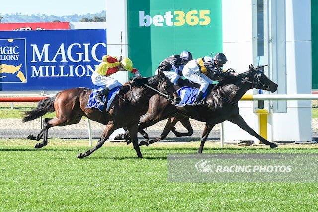 Cloud9Tbreds's tweet photo. 4 @Cloud9Tbreds runners represent the team @CastertonRacing on #CupDay today..
☁️9️⃣🤞
🔹R3- MARROCK
🔹R4- FAOLAN
🔹R5- CLAP CHAP📸
🔹R7- DISENCHANTED
All the best to connections!
#horseracing #cupday #sundayraces #thoroughbred #fingerscrossed https://t.co/FTLXww9fGX