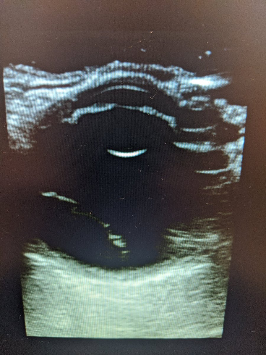 James (Jamie) Powell tweet media