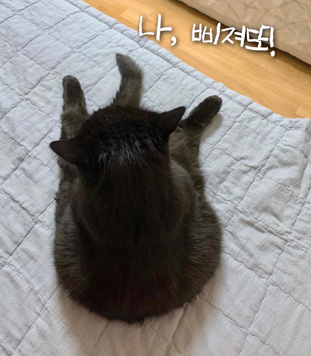 Junghee Shin tweet media