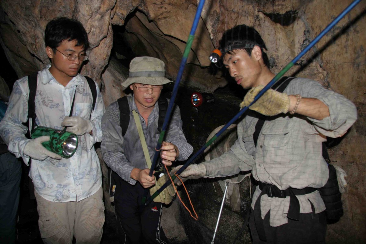 Thread on Some Anomalies in "Natural Origin" Narrative1/10Bat researchers venturing into bat caves and mineshafts in Yunnan without wearing proper protective gear to trap bats and take anal and throat swabs, like Tian Junhua from WCDC and Wuhan Institute of Virology researchers