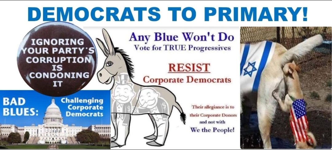 IndieSindie's tweet photo. RT: Thank you @marwilliamson
I too support @ShahidForChange! Progressive Californians need to vote @SpeakerPelosi out of office! She is completely beholden to corporate lobbyists and wealthy donor's interests! It's time for you to RETIRE Nancy! You are #NotFitForCongress! https://t.co/XwTZa4yEsB