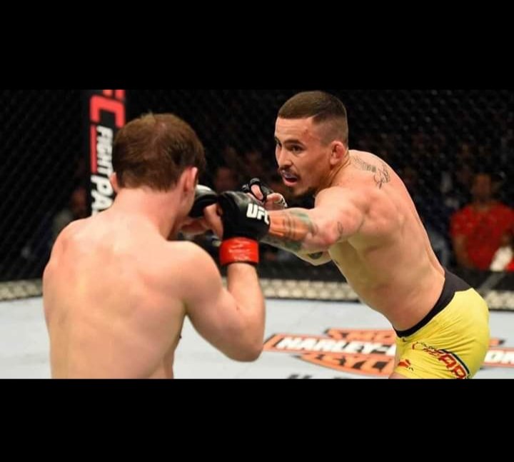 zootecmurillo2's tweet photo. Será que los jueces vieron la misma pelea? #ChitoVera #ChitoWonthefight #UFCFL https://t.co/DmA5odm1Zu