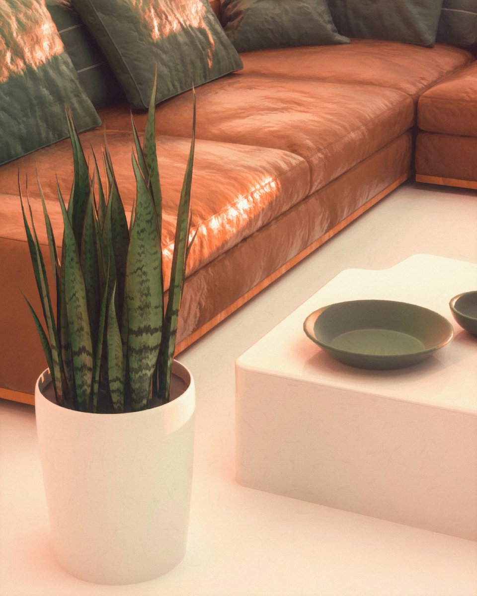 LeJitDesign's tweet photo. [EVERYDAYS 256 / RINA]. I got a houseplant so here's some crappy art inspired by it! 
.
. #everyday #dailyrender #plants #snakeplant #sansevieria #art #nature #interior #daily #maxon #octane #grain #lejitlejit #3d #digital #houston https://t.co/MfHlqZMYF1