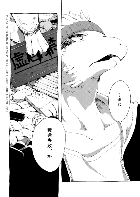 空想銀河冒険記「嘘つきばかりの星(プレアデスの両脚)」2-1 #漫画 #オリジナル #プレアデスの両脚 #創作漫画 #獣人 #ドラゴン #ケモノ #冒険 #ファンタジー #鳥人 https://t.co/ndTLjwidTc 