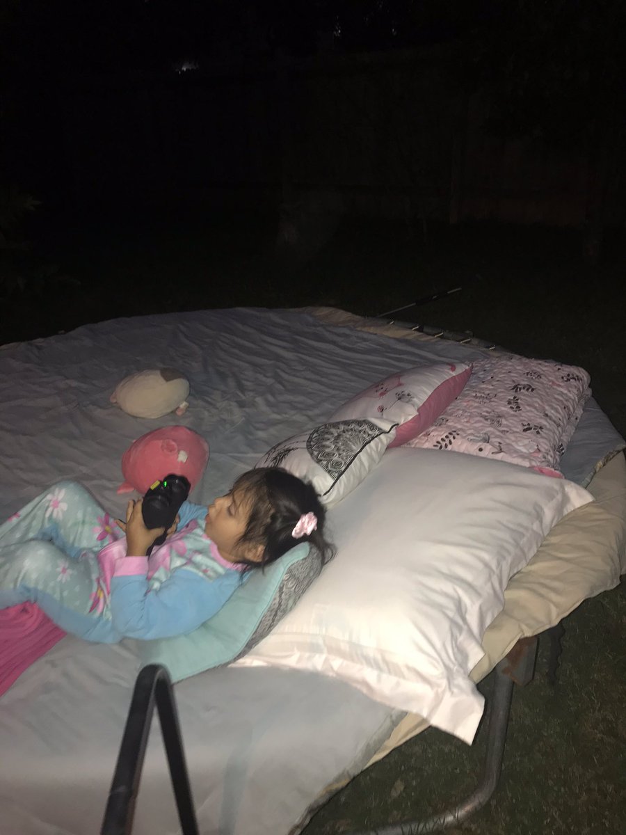 Luz Navarro tweet media