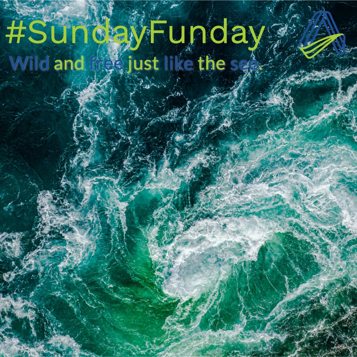 AGITALIA1994's tweet photo. SundayFunday, be wild and free just like the sea! #SundayFunday https://t.co/ZpbJ9TbDZp