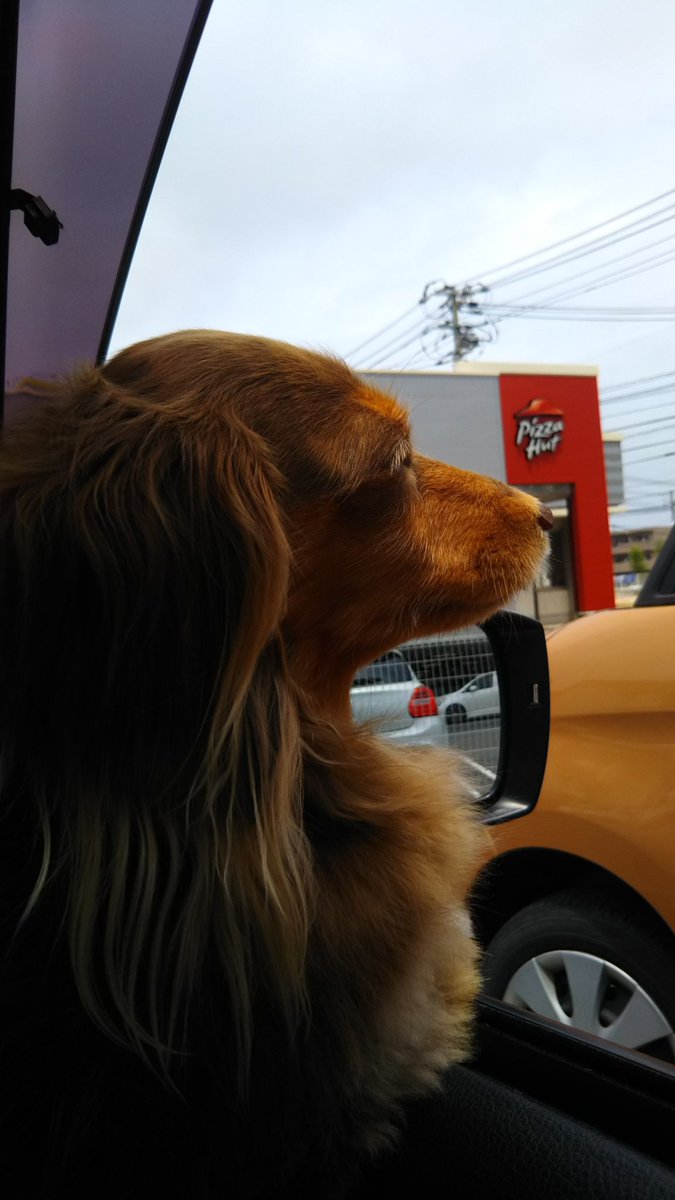 今日ケンタッキーにしない