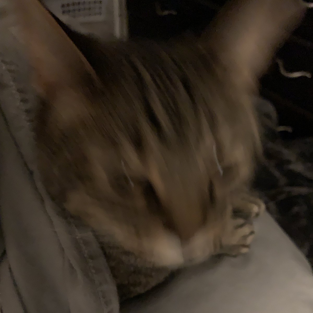 thecrencat's tweet photo. https://t.co/0Tjpw5MFuS