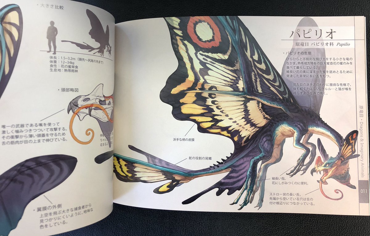 ট ইট র 担当ま 竜とけもの図鑑 竜目竜科 山村れぇ ドラゴン化した様々な生き物を楽しめる生物図鑑風イラスト集 それぞれの生態も細かく考え抜かれていて ゲームの攻略本を読むのが好きな層には絶対おすすめ 何よりどのドラゴンも優美で見ごたえが