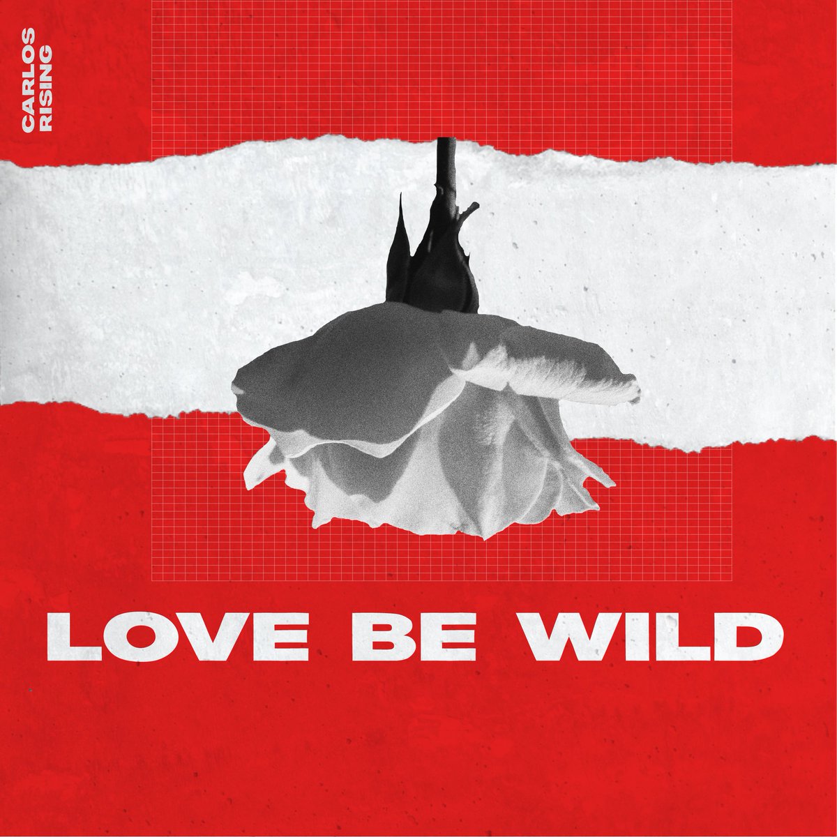 DanielGalan_'s tweet photo. Album art for an upcoming new artist,  love how the visuals came out!
#graphicdesign #albumart #typography #colors #branding #art #design #designer https://t.co/u6OlqqerUx https://t.co/g0M1U65wx7