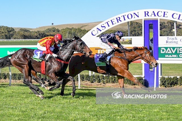 EquianoClub's tweet photo. #EQUISPECIAL 3G Equiano x Our Final Snip( Beckett) finishes too well for a comfortable win over 1100m at #Casterton Vic for Plumpton Tr #PatrickPayne & Jk #BillyEgan @TheBeeegan taking his earnings to over $40k..#swettenhambred @newsellspark https://t.co/ROZOixbyLK