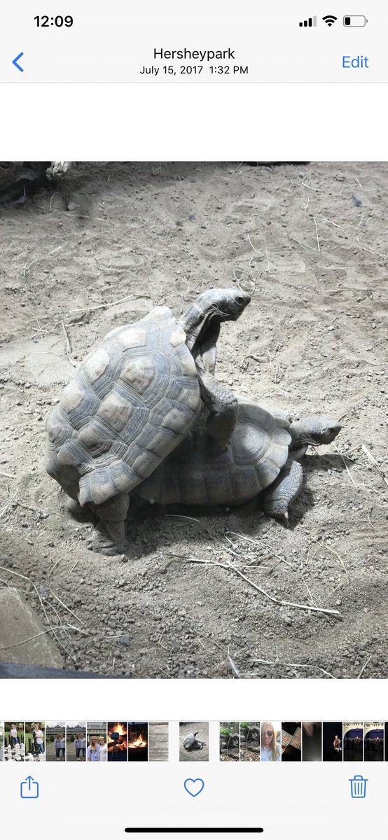 ginabelllle's tweet photo. Here’s the photo in question, in case you were wondering. https://t.co/5gdll8Fede