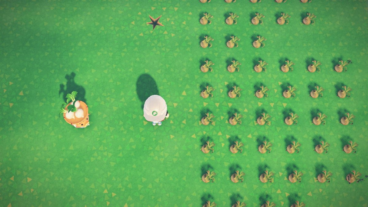#动物森友会 #AnimalCrossing #ACNH #NintendoSwitch