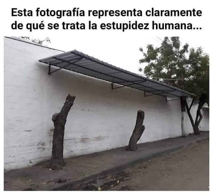 MarioBerea's tweet photo. Clarísimo!! https://t.co/e6foGB8JAS