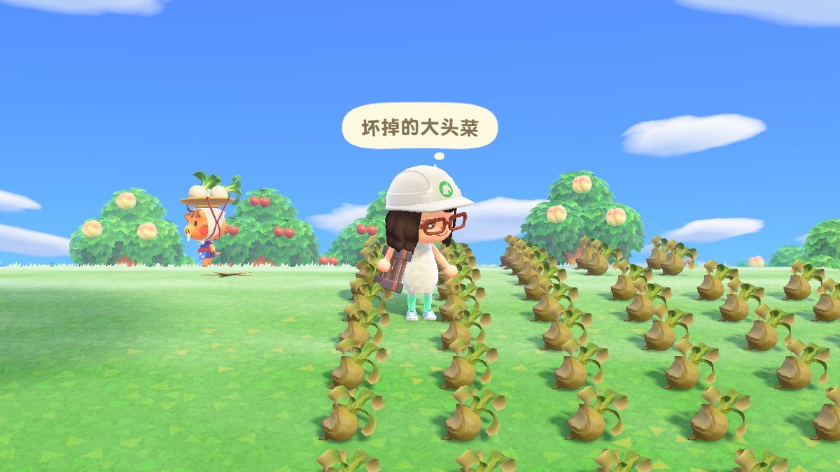 #动物森友会 #AnimalCrossing #ACNH #NintendoSwitch
