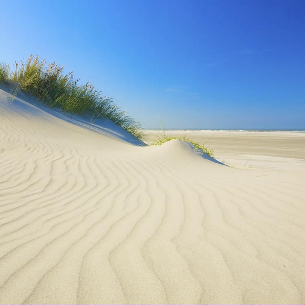 Sand             SANd