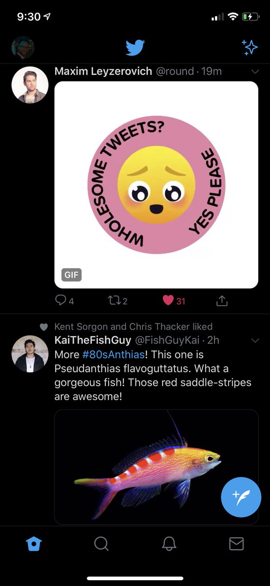 A wholesome fish in my timeline under the top tweet