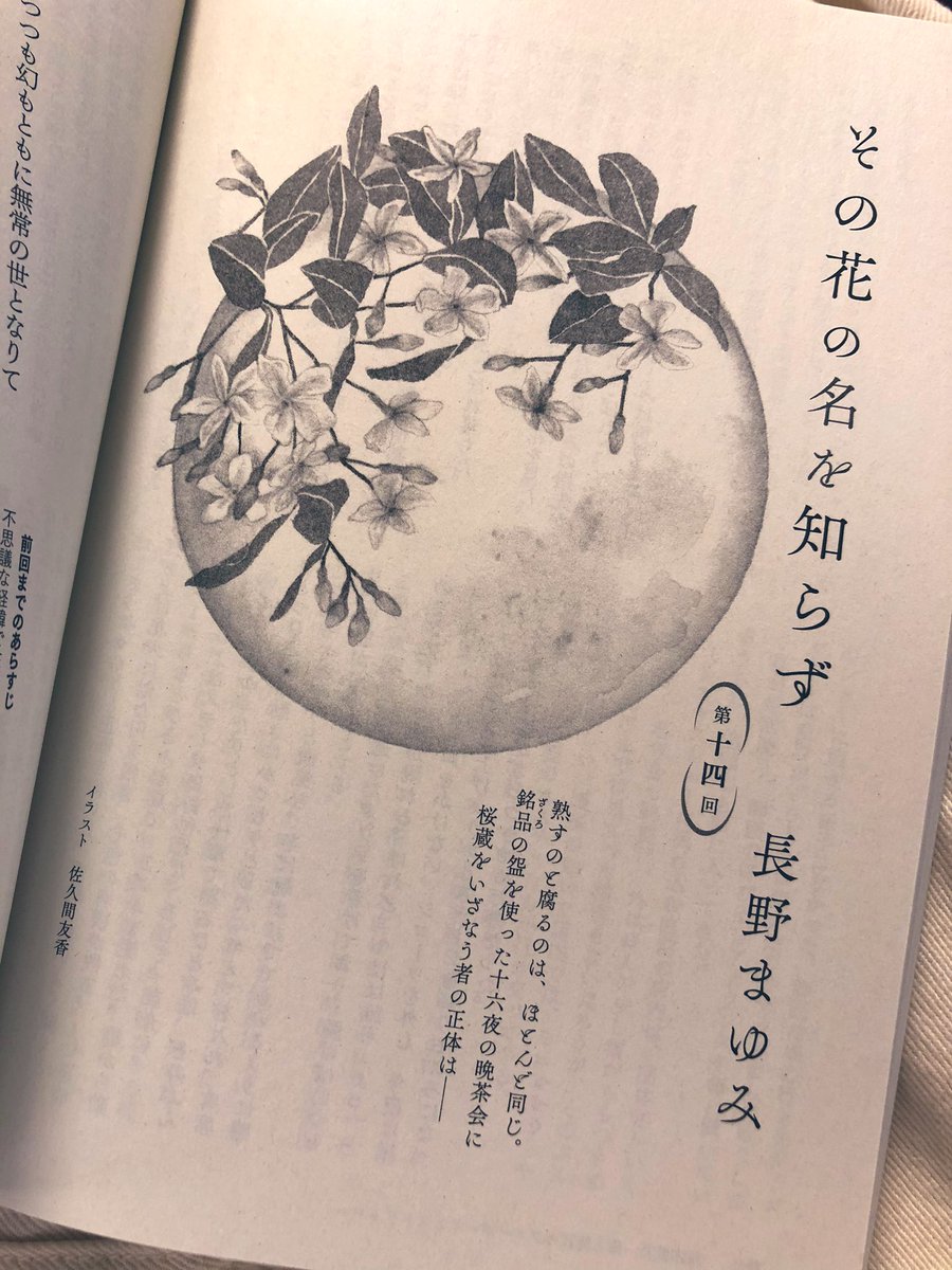 今月の扉絵、テイカヅラとお月様🌙
編集の方から「エロい」とのコメントをいただき、絵にかけた熱が伝わっていて嬉しいです💐
#長野まゆみ
#その花の名を知らず
#KADOKAWA 