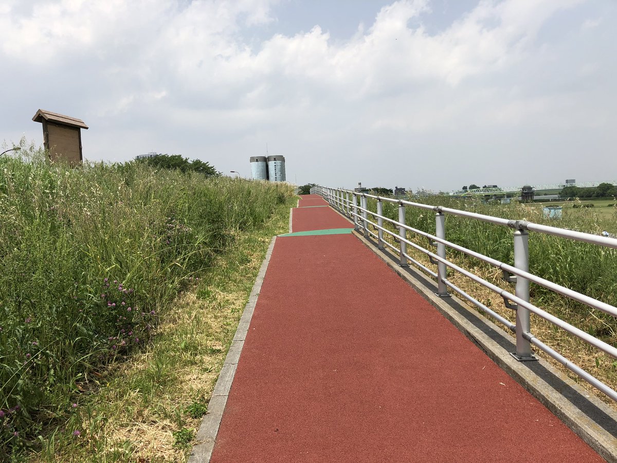 wings_14's tweet photo. 河川敷でタータンのある場所を
見つけました！
ここでたまに坂道ダッシュをして
追い込んでます🔥
そして暑くなる日が多くなっています！
マスクをしていると熱中症になるリスクも高くなるので水分補給しっかりして暑さにもコロナにも負けないように頑張りましょう💪
#南葛SCウイング
#STAYHOME https://t.co/RnosZi86JH