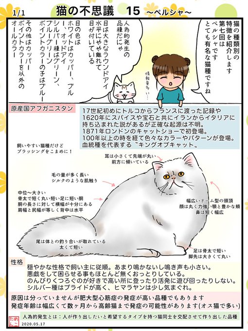 ペルシャ を含むマンガ一覧 ツイコミ 仮