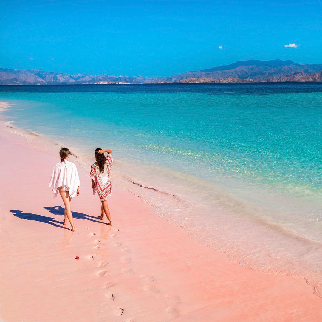 AyanaResort's tweet photo. Leave only your footprints in the beautiful pink sand of Komodo Island as we recommend some of the ways to be a sustainable traveler. 

Read more:
https://t.co/MugOf5YTVX

#PinkBeach #AYANAkomodo #LabuanBajo #Flores #Indonesia https://t.co/bSBmcucl9h