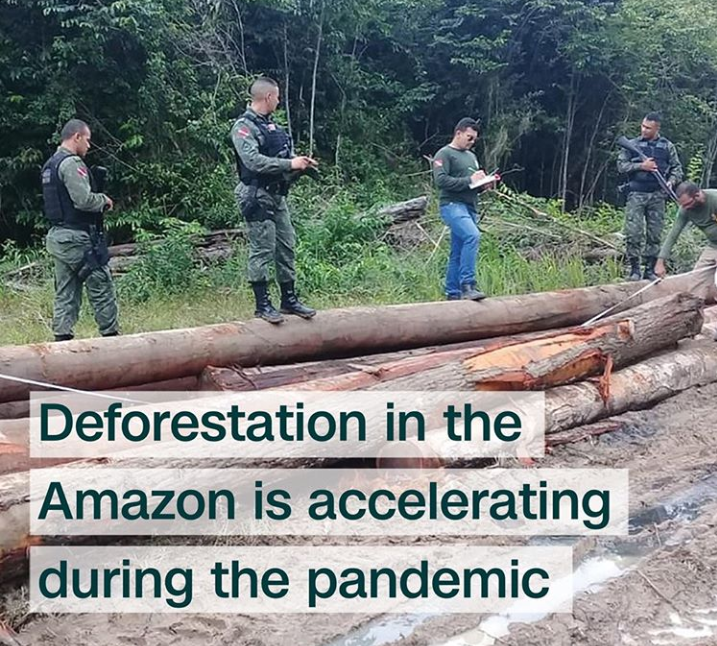 SatvikMishra25's tweet photo. Deforestation in Amazon has already seen a more than 50% increase in the first trimester of 2020 as compared to 2019. Though most of the businesses remain shuttered under lockdown,many believe illegal loggers and miners continue to operate with little to no regulation. https://t.co/S3jJxhQDCb