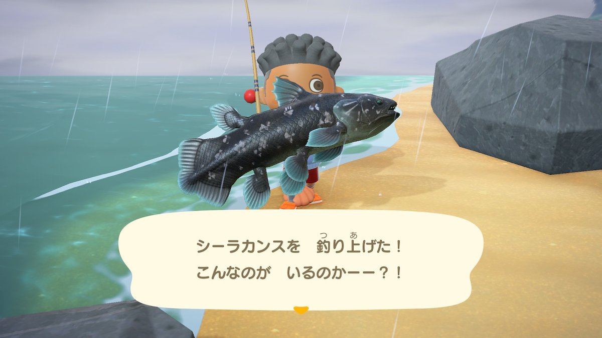 pocketmonster19's tweet photo. #どうぶつの森 #AnimalCrossing #ACNH #NintendoSwitch https://t.co/yb1VDlUCJe