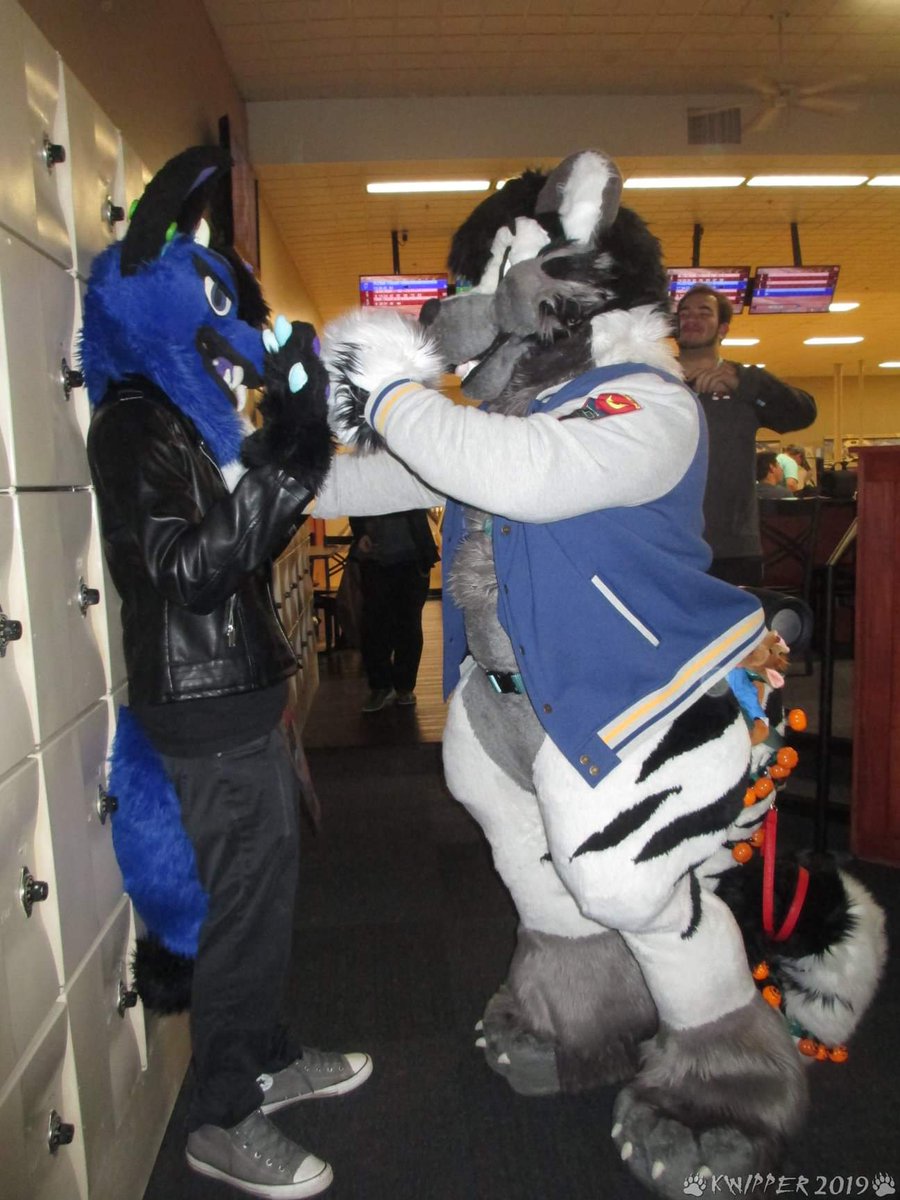 Dieseloxton's tweet photo. Will this happen 
@MidwestFurBowl https://t.co/Ipg1NNPgmF