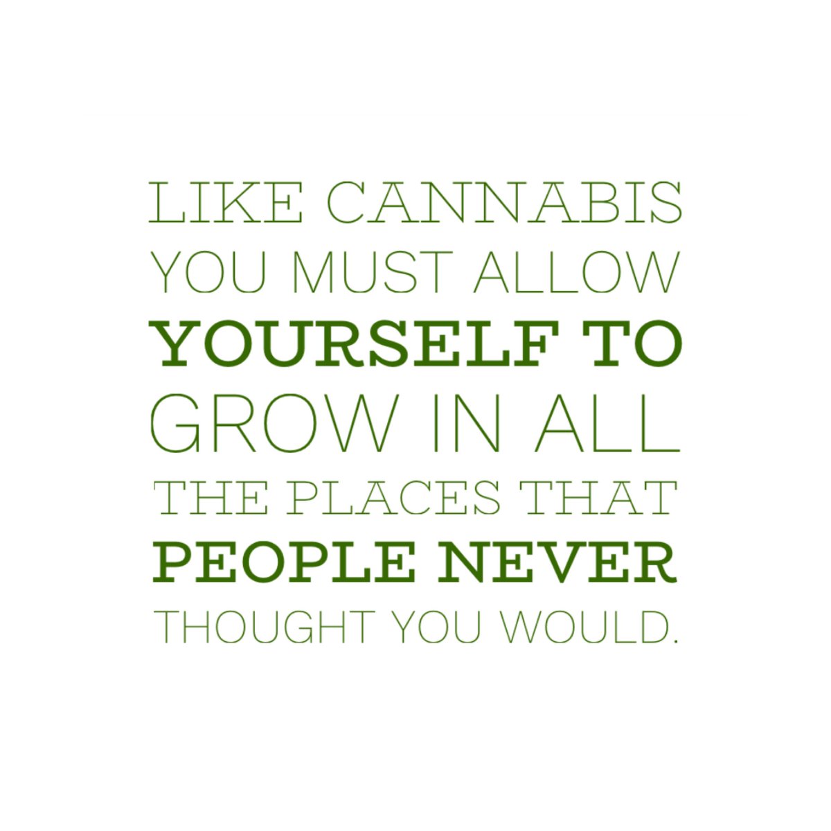 Yes 100%. #oregon #cannabis #CannabisCommunity #vapelife 
✊💨💚