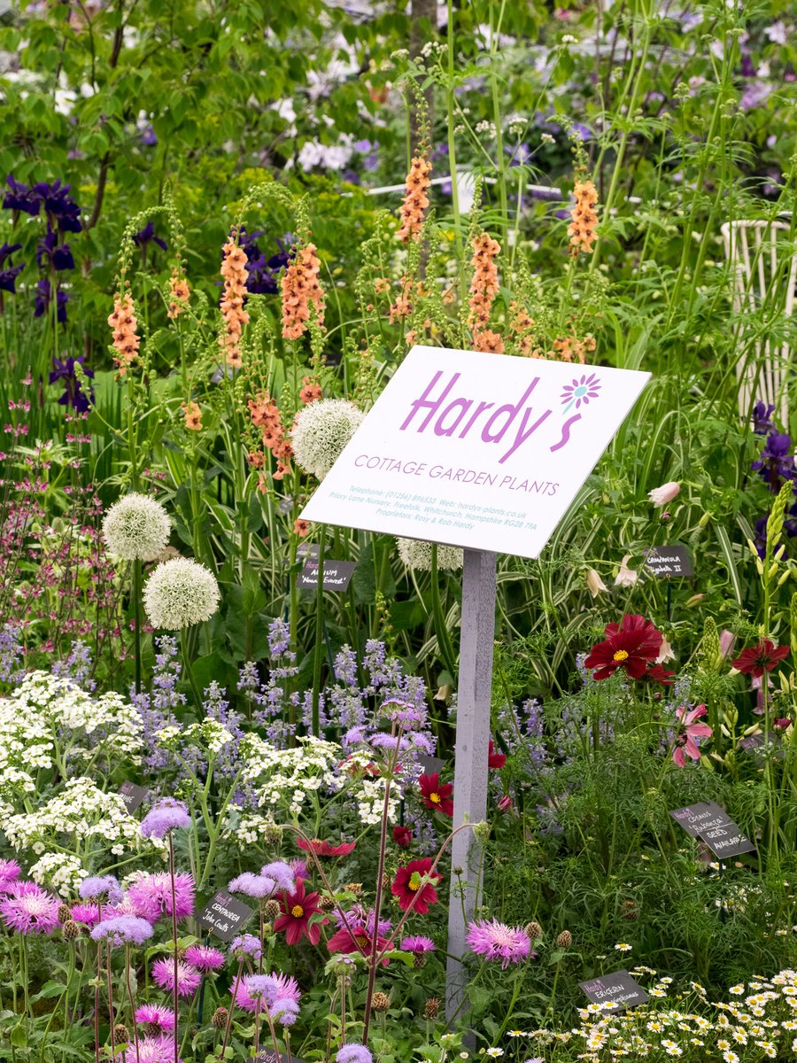 Planning to visit Hardy's this week ?  We are Open BY APPOINTMENT ONLY - Book Now by placing your Booking Here > hardysplants.co.uk/shows-events