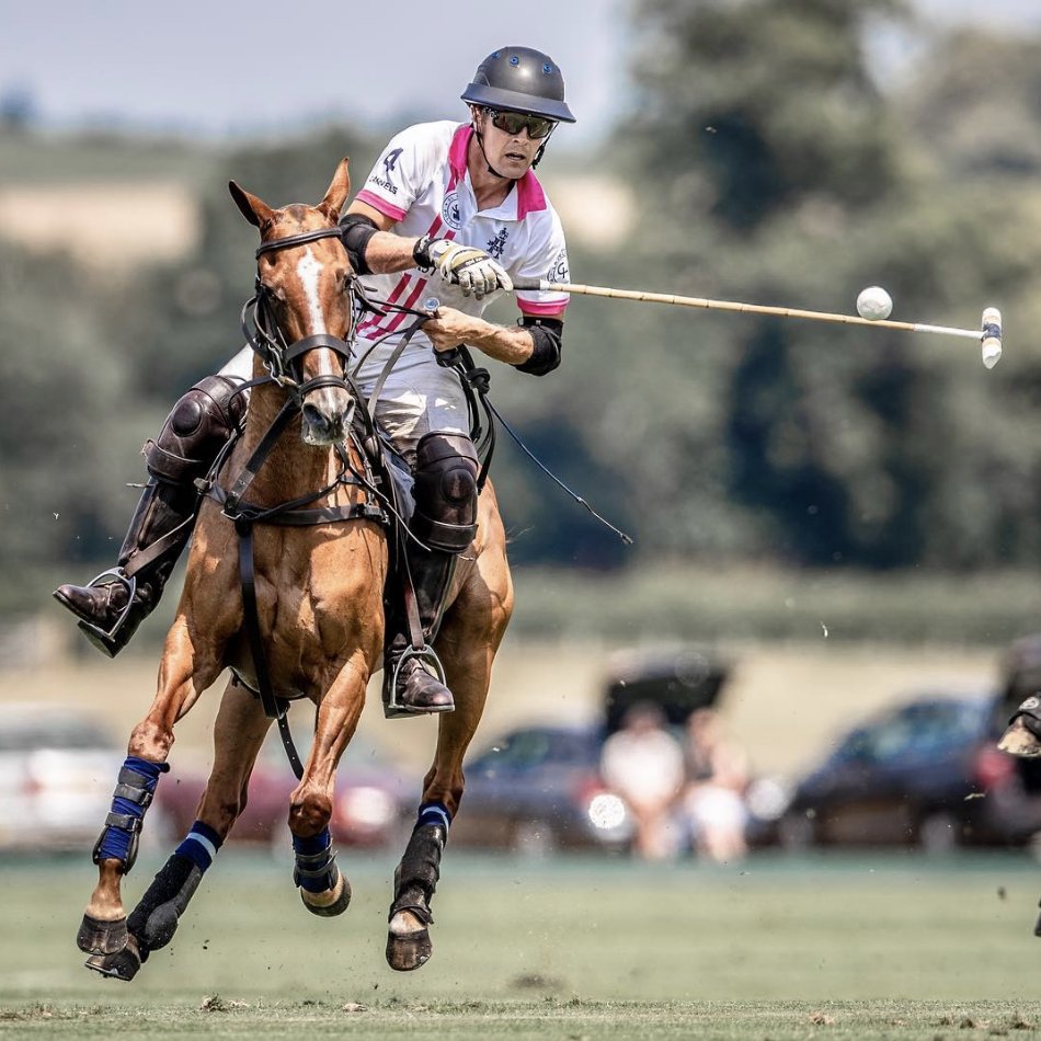 Cowdray Park Polo Club tweet media