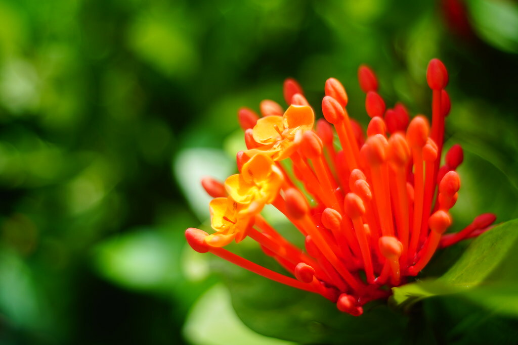 datafok's tweet image. Summer Time flic.kr/p/2j2QbgH