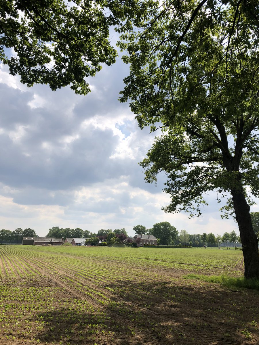Te voet ervaar je de omgeving anders. Ja kan het ruiken, horen en ja nog steeds met rugzak op de koffie, water en broodjes mee voor de lange afstand. #achterhoek #wandelnetwerk