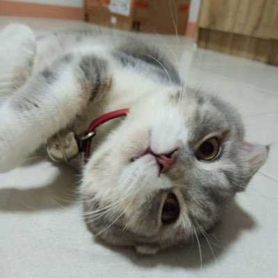 Pinmuk's tweet photo. #NewProfilePic https://t.co/5Z5wQSl8Ra