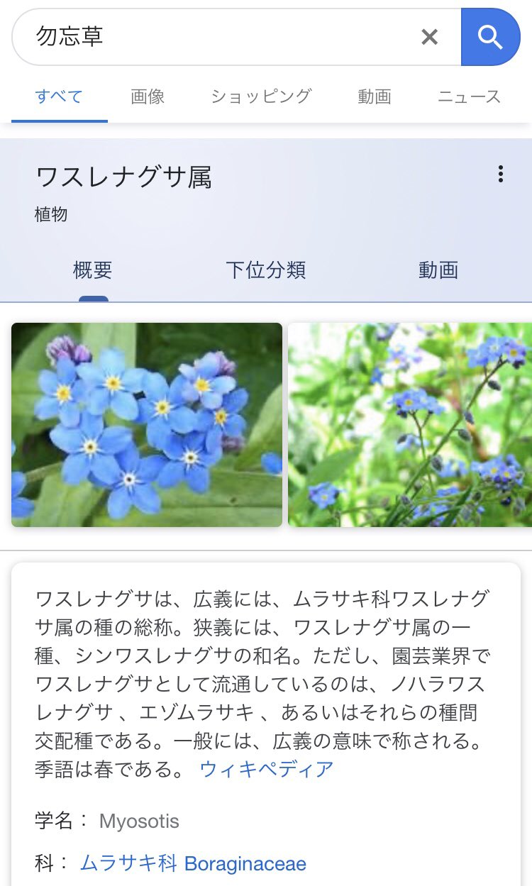 Reina 10話最後の花束は相思花ではなく勿忘草 ザ キング永遠の君主 ザキング ザキング永遠の君主 T Co Sslm0tzlqi Twitter
