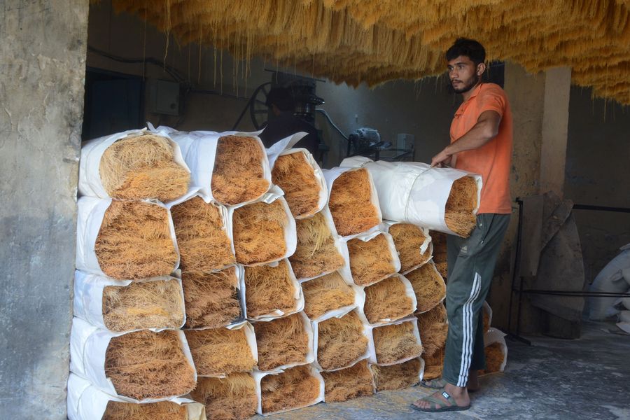 Workers are busy at dry noodle factory in E. Pakistan's Lahore amid