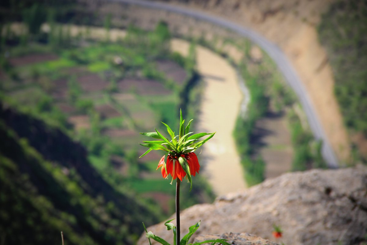 Vefalı arayandır, bulandır, sorandır, unutmayandır.  Dönüp gelendir. İyiliği, güzelliği kendi menfaatinin üstünde tutandır.

Necip Tosun