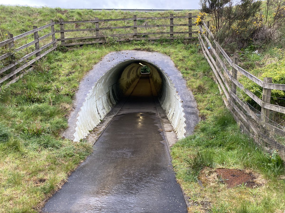Morning walk - scary tunnel under  the #M80 😱 - felt the need to break into a run through it!